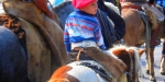 Cavalgada de São Jorge 2014