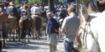 Cavalgada de São Jorge 2014